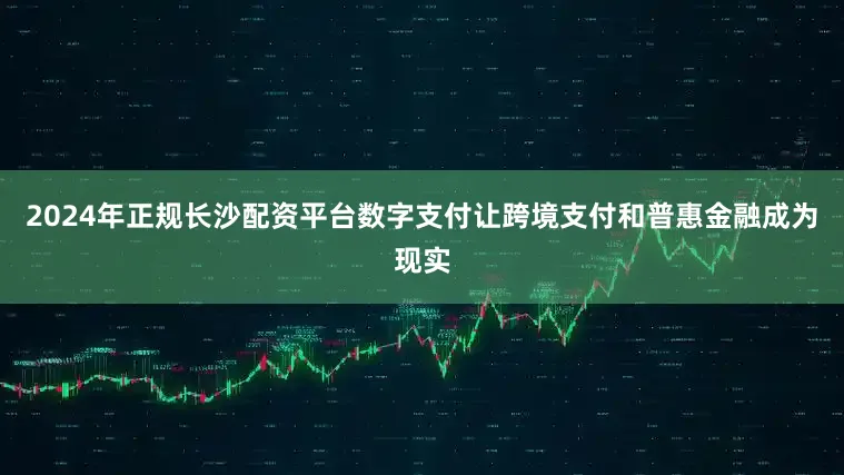 2024年正规长沙配资平台数字支付让跨境支付和普惠金融成为现实
