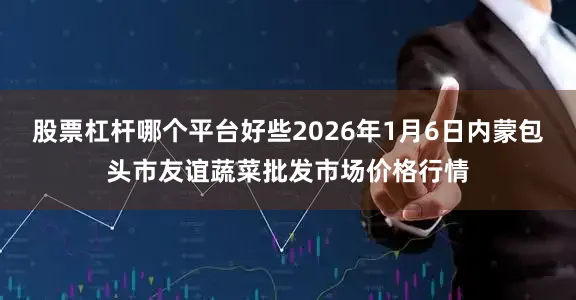 股票杠杆哪个平台好些2026年1月6日内蒙包头市友谊蔬菜批发市场价格行情