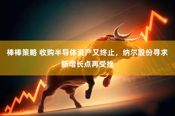 棒棒策略 收购半导体资产又终止，纳尔股份寻求新增长点再受挫