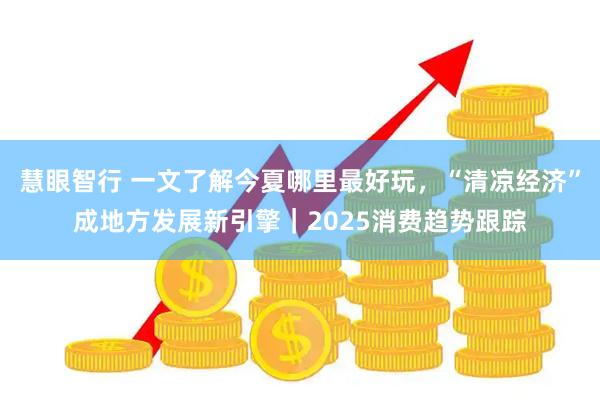 慧眼智行 一文了解今夏哪里最好玩，“清凉经济”成地方发展新引擎｜2025消费趋势跟踪